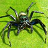 kaospider